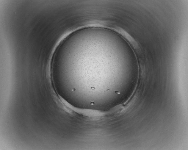 X0000115651240200911171436