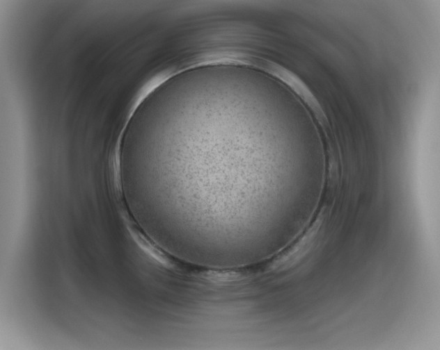 X0000115651242200911171436