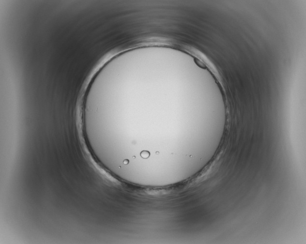 X0000115651243200911171436