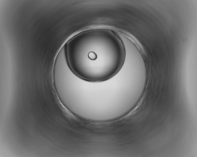 X0000115651244200911171436