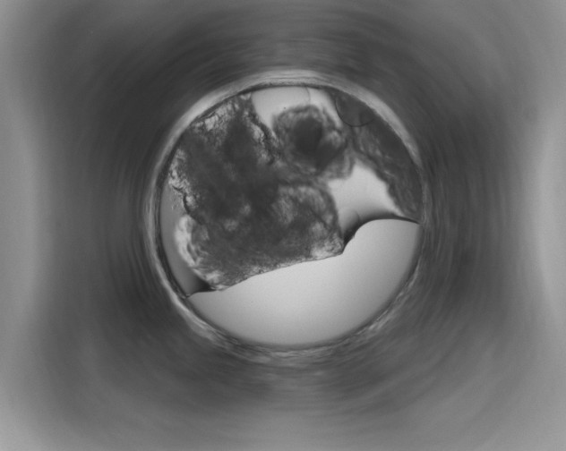 X0000115651245200911171436