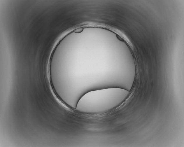 X0000115651247200911171436