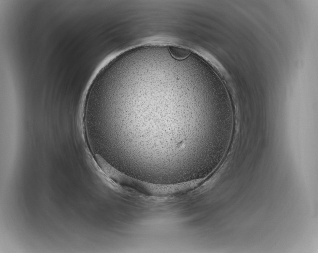 X0000115651248200911171436