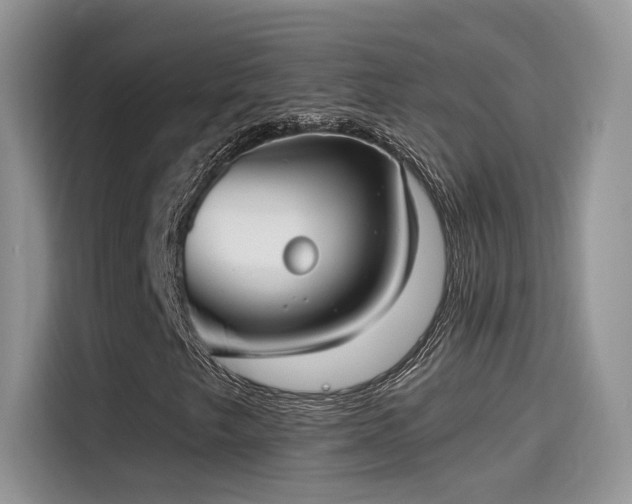 X0000115651249200911171435