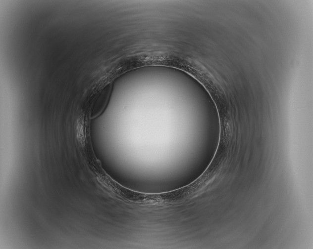 X0000115651250200911171435