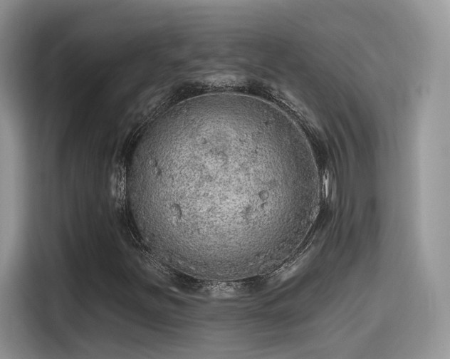 X0000115651251200911171435