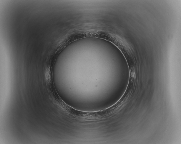 X0000115651252200911171435