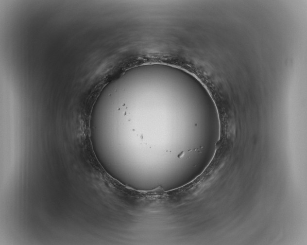 X0000115651253200911171435