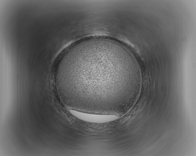 X0000115651255200911171435