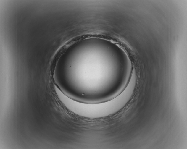 X0000115651256200911171435