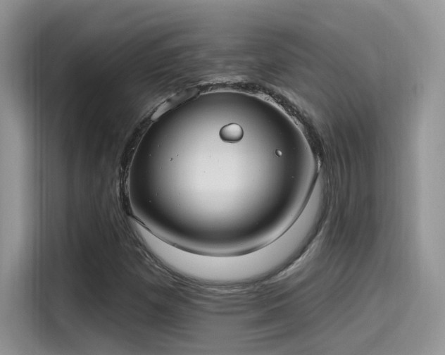 X0000115651257200911171435