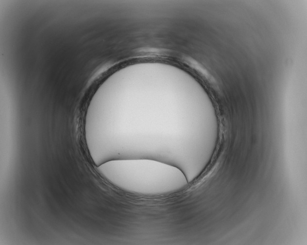 X0000115651259200911171435