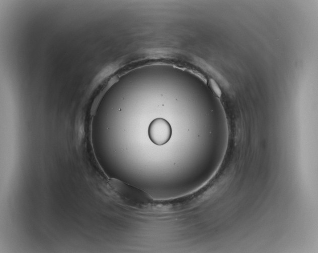 X0000115651261200911171435