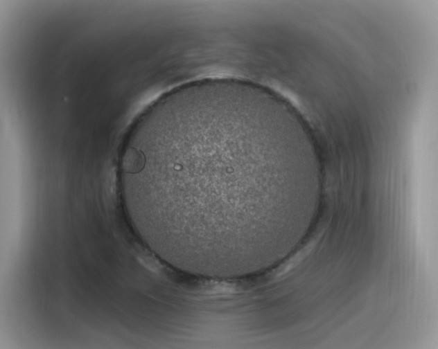 X0000115651263200911171435