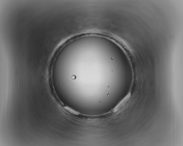 X0000115651264200911171435