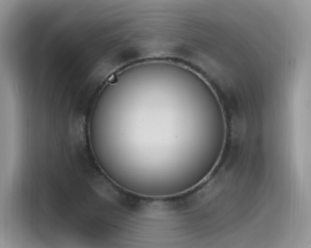 X0000115651265200911171435