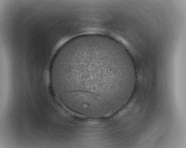 X0000115651267200911171435