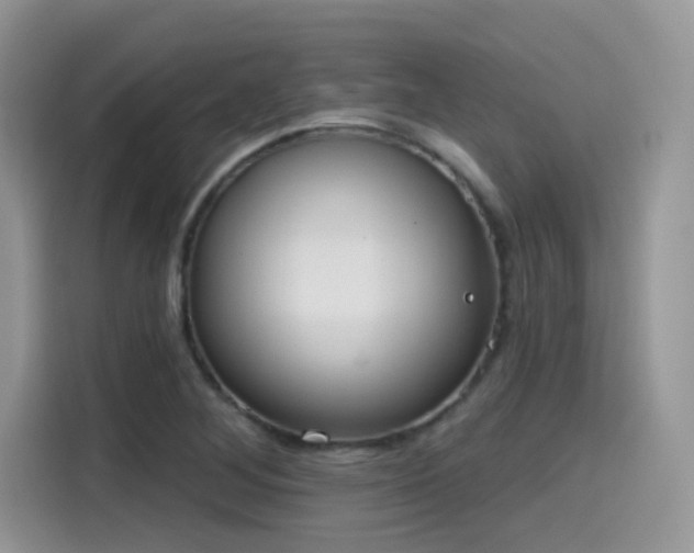 X0000115651268200911171435