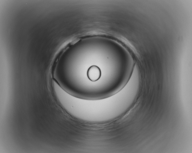 X0000115651269200911171435