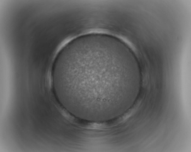 X0000115651271200911171435