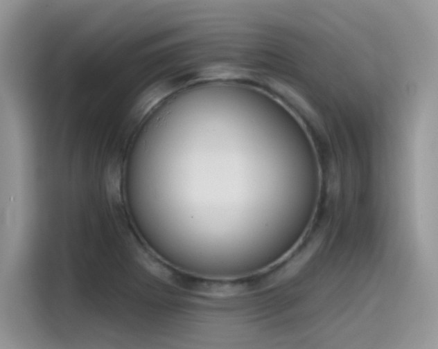 X0000115651273200911171435