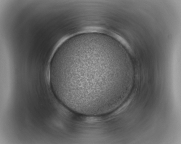 X0000115651275200911171435