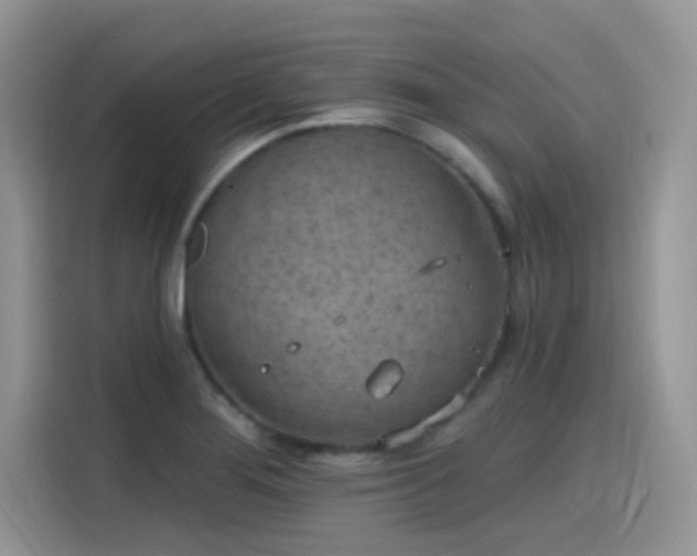 X0000115651276200911171435