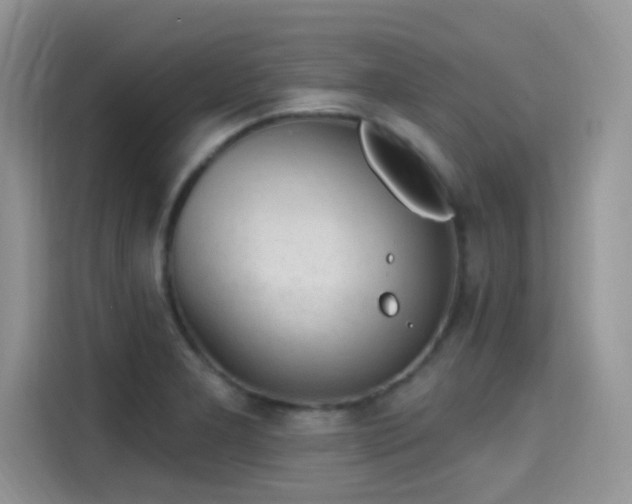 X0000115651277200911171435