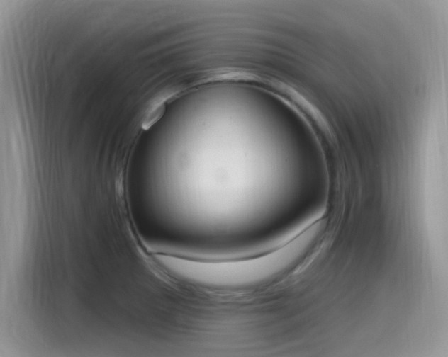 X0000115651281200911171435