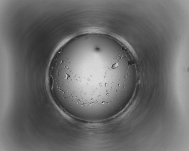 X0000115651285200911171435