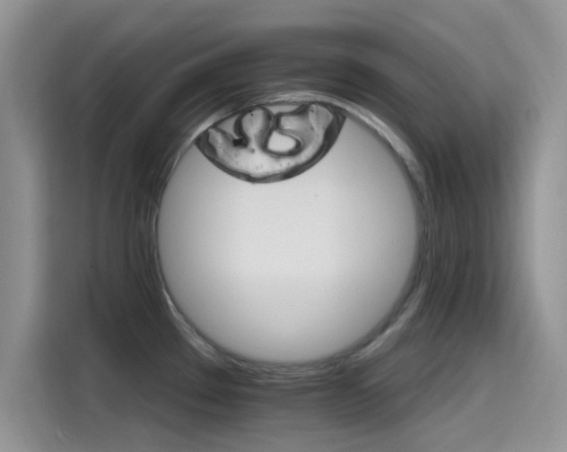 X0000115651289200911171435