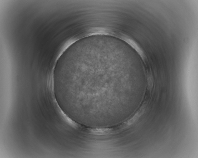 X0000115651290200911171435