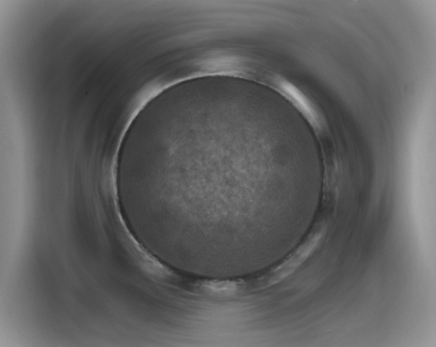 X0000115651291200911171435