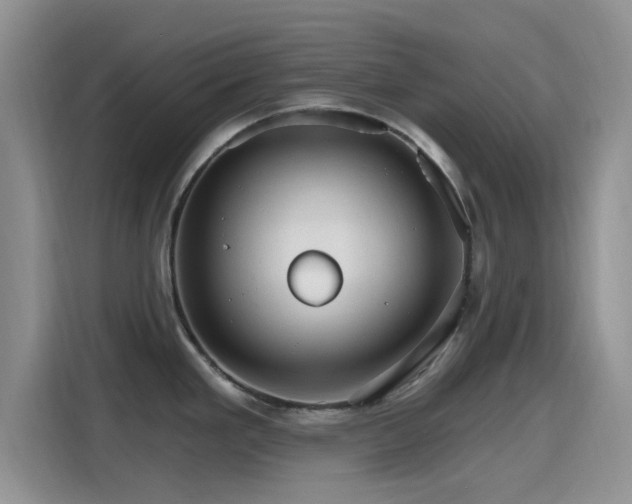 X0000115651293200911171435