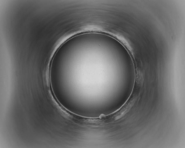 X0000115651295200911171435