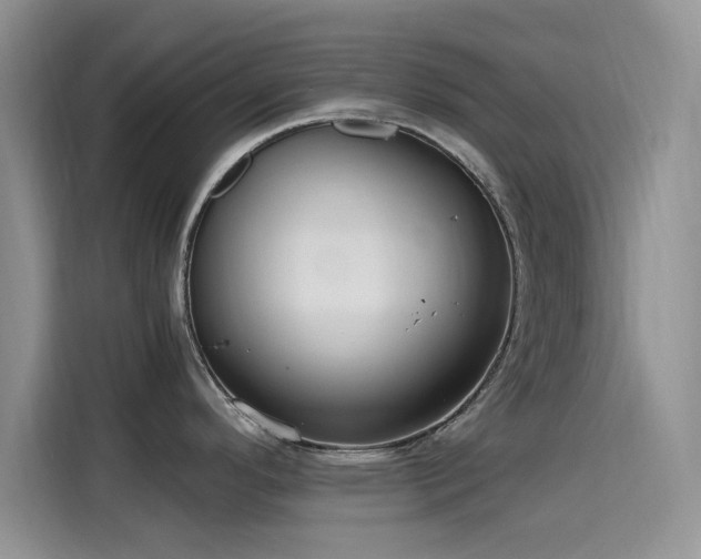 X0000115651296200911171435