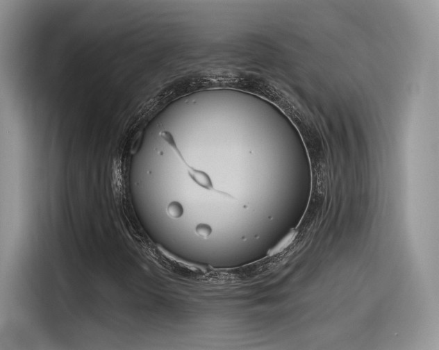 X0000115651298200911171434