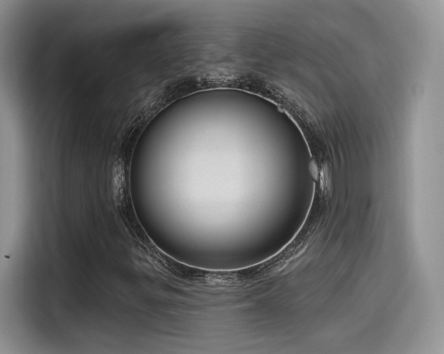 X0000115651299200911171434