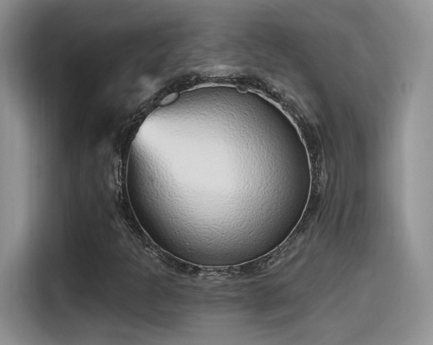 X0000115651301200911171434