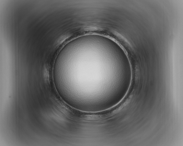 X0000115651305200911171434