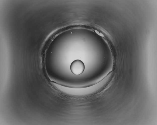 X0000115651310200911171434