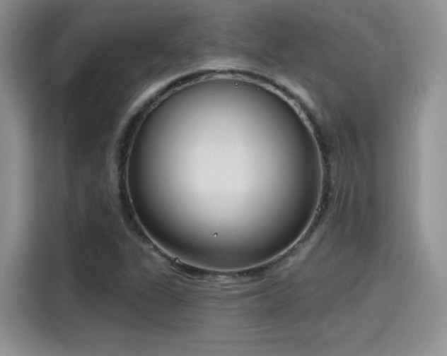 X0000115651311200911171434