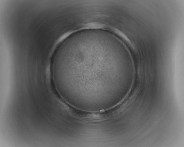 X0000115651315200911171434