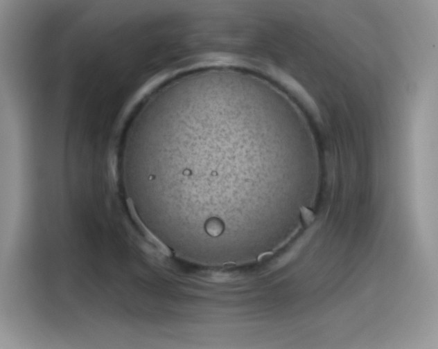 X0000115651318200911171434