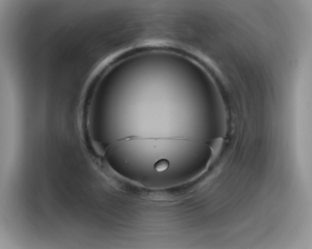 X0000115651319200911171434