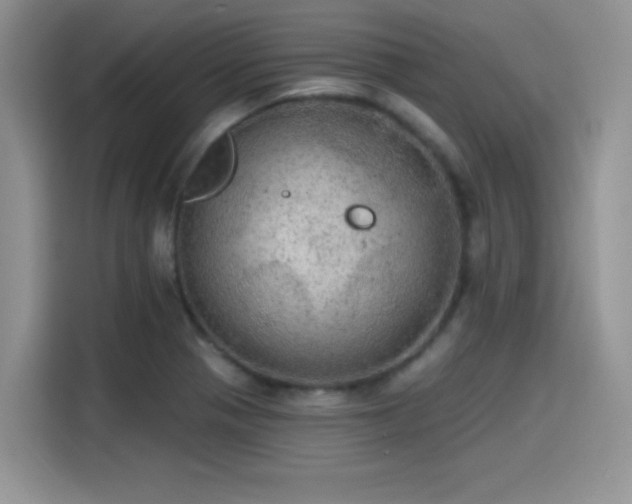 X0000115651321200911171434