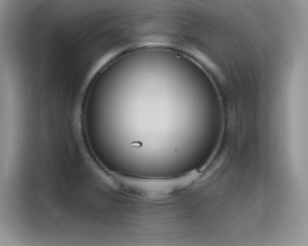 X0000115651325200911171435