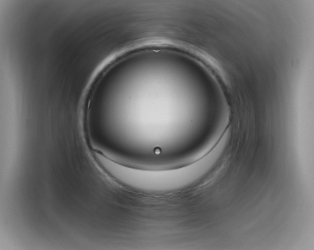 X0000115651326200911171435