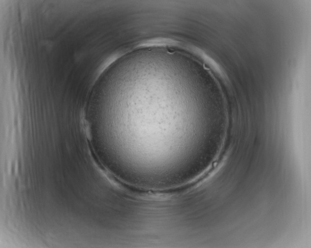 X0000115651329200911171435