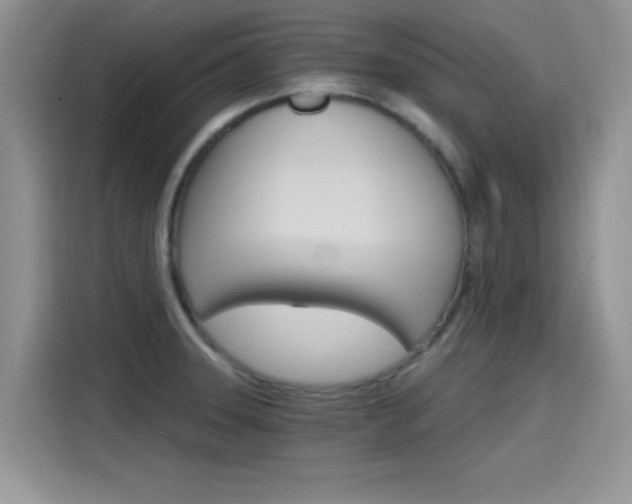 X0000115651331200911171435